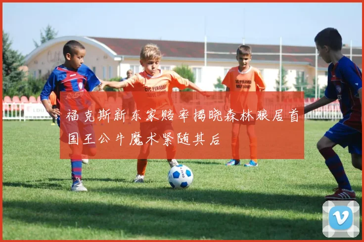福克斯新东家赔率揭晓森林狼居首国王公牛魔术紧随其后