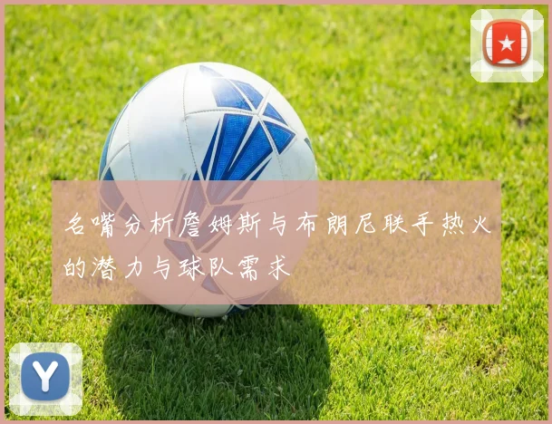 名嘴分析詹姆斯与布朗尼联手热火的潜力与球队需求