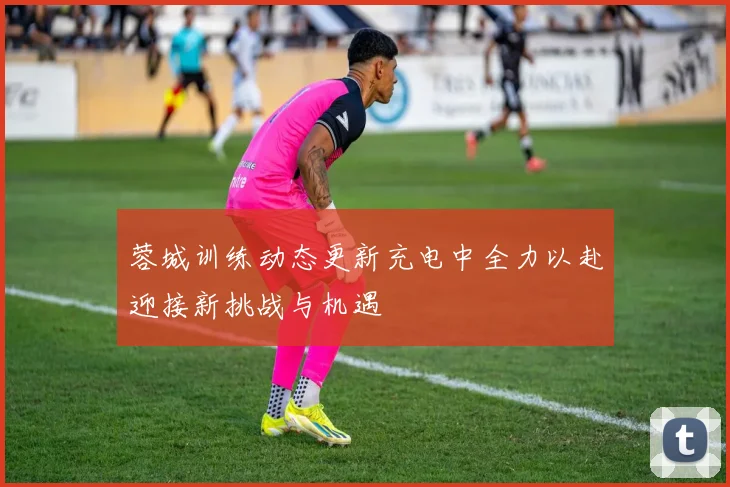 蓉城训练动态更新充电中全力以赴迎接新挑战与机遇